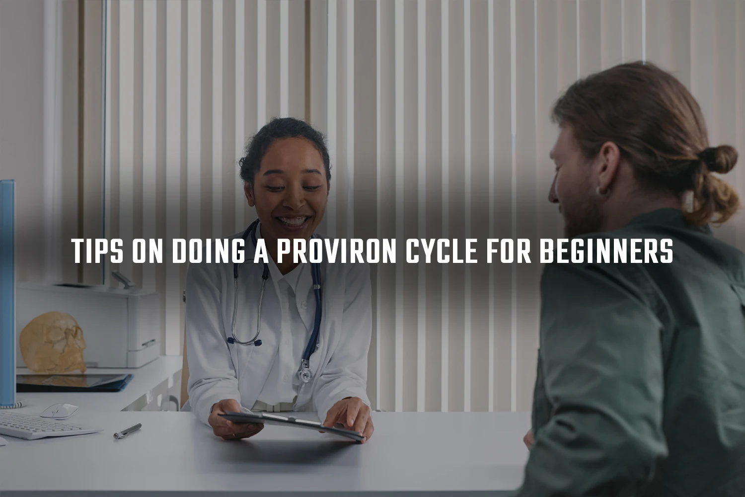 Proviron cycle for beginners