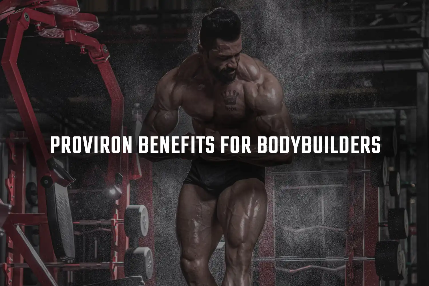 Proviron Benefits for Bodybuilders