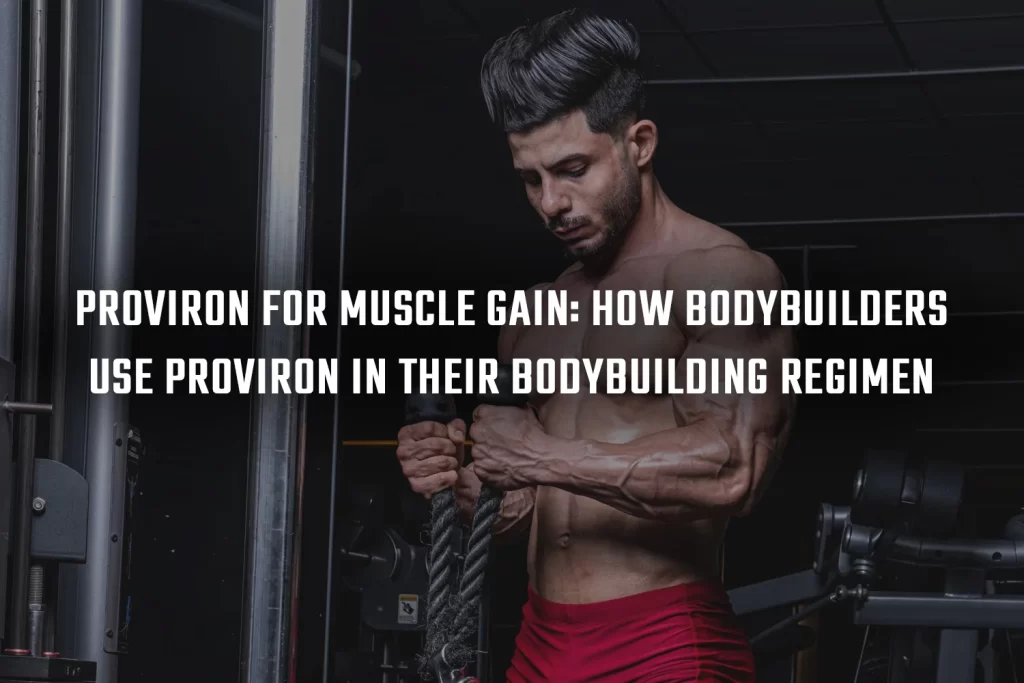 Proviron for Muscle Gain