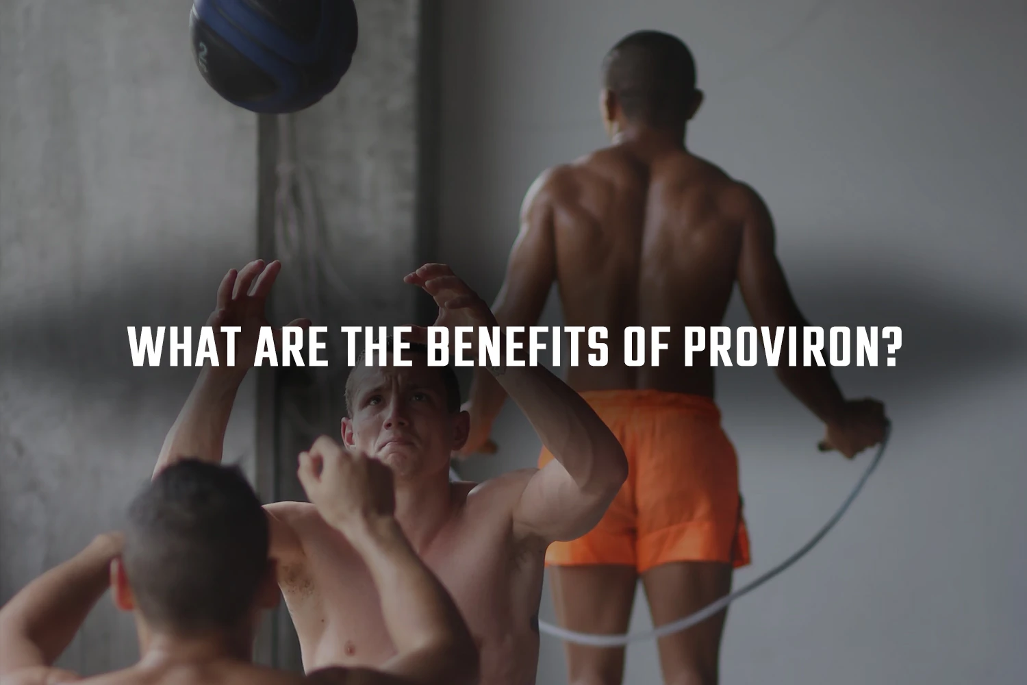 Benefits of Proviron